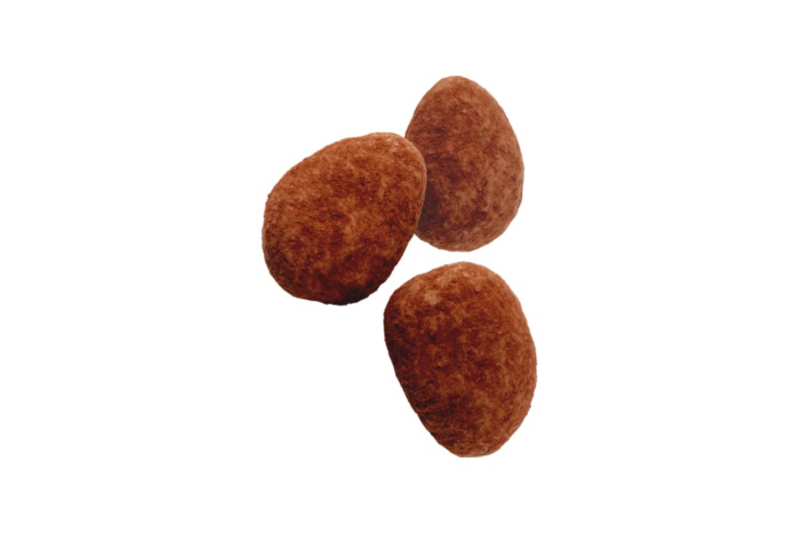 Xocolatejat Ametlla negra caramel·litzada